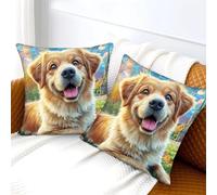 WBCFGHJKN Golden Retriever 2PCS Pattern Cushion Covers, 3D Printed Decorative Pillow Cases, Square Throw Pillowcovers with Hidden Zipper for Couch Bed Home 45x45cm
