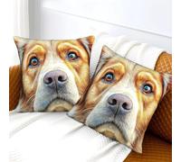 WBCFGHJKN Golden Retriever Pattern Cushion Covers Set of 2, 3D Printed Throw Pillow Cases, Soft Square Pillowcovers with Invisible Zipper for Sofa Bedroom Decor 45x45cm