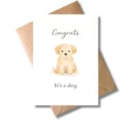 WBdesignz Cute Dog Card with Envelope for Housewarming Dog - Congrats It's a Dog - Minimalist Greetings Card for New Dog Owners, Puppy Owners - Congratulations Card with Dog, Puppy (DIN A6)