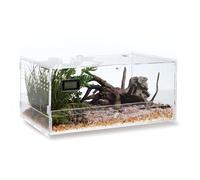 WBHONGHUI Acrylic Clear Reptile Habitat Enclosure Terrarium with Latch ，Perfect for Amphibians and Invertebrates Such as Spiders, Frogs, etc (Horizontal Large)