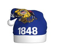 WBQLSL 15.7 inches tall unisex santa claus plush hat, christmas new year party santa hat, Wisconsin State Flag adult universal santa hat