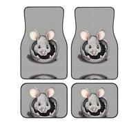 WBQLSL 4-Piece car Floor mats Set, Easy to Clean and no Fading, Keep The Interior of Your car, Truck, or Van Grey Rat Clean