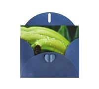 WBQLSL canna or Indian shot Blue Holiday Cards - Perfect for birthdays, weddings, and Christmas cards
