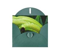 WBQLSL canna or Indian shot Dark Green Holiday Cards - Perfect for birthdays, weddings, and Christmas cards