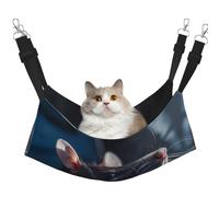 WBQLSL Cockroaches Large Printed pet Hammock - Sleeping Hammock for Cats, Ferrets, Puppies, Rabbits, Small Animals