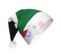 WBQLSL Flag of the State of Palestine LED Light Santa Hat,Unisex Christmas New Year Adult Hat, Plush New Year Christmas Party Gift
