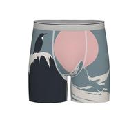 WBQLSL Glacier and penguin L Printing Men's Long Boxer Briefs - Breathable and Quick-Drying Fabric, (S-2XL) Light Grey