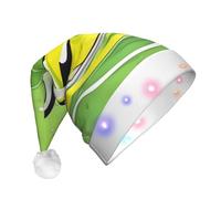 WBQLSL Green Duck LED Light Santa Hat,Unisex Christmas New Year Adult Hat, Plush New Year Christmas Party Gift