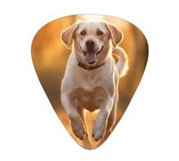 WBQLSL Labrador Guitar Picks - (Thin/Medium/Thick) Suitable for all types of string instruments,