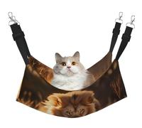 WBQLSL North American Lion Running Medium Printed cat cage Hanging Hammock - Suitable for Cats, Ferrets, Puppies, Rabbits, Small Animals