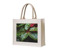 WBQLSL poinsettia Printed Canvas Tote | Lightweight Storage Bag Perfect for the Beach, Picnics, and Everyday Shopping
