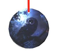 WBQLSL This Owl at night patterns Christmas round glass pendant is perfect as a Christmas tree ornament, birthday, or anniversary gift.