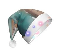 WBQLSL Unisex Christmas New Year Adult Hat, New Year Christmas Party Gift, Aerial view of the beach Plush Santa Hat with LED Light