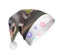 WBQLSL Unisex Christmas New Year Adult Hat, New Year Christmas Party Gift, Cute animals Plush Santa Hat with LED Light