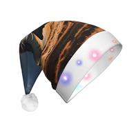 WBQLSL Unisex Christmas New Year Adult Hat, New Year Christmas Party Gift, Elk in the meadow Plush Santa Hat with LED Light