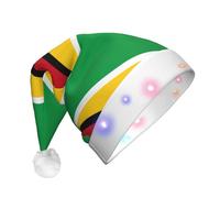WBQLSL Unisex Christmas New Year Adult Hat, New Year Christmas Party Gift, Flag of Guyana Plush Santa Hat with LED Light