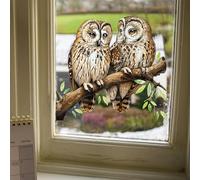 WBQMUNY Window Stickers Owl Static Glass Clings Window Decals Owl on a Branch Reusable for Home Display Window Decor (DJ2041)