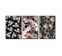 WBYZAC Abstract Romantic Pink Rose In Darkness Canvas Painting Beautiful Flower Poster Print for Living Room Bedroom Aisle Entrance Decor-30 * 50cm*3Pcs (Unframed Print)