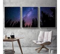 WBYZAC Art Pictures,Abstract Starry Sky Poster Landscape Navy Blue Canvas Painting Astrology Art Print Nordic Forest Wall Picture Living Office Room Decor Artwork-40 * 60cm*3Pcs (Unframed Print)