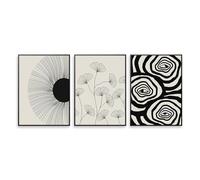 WBYZAC Canvas Art-Modern Geometry Art Canvas Poster Abstract Dandelion Sketch Line Wall Decor Painting for Bedroom Living Kitchen Room Decor Aesthetic-60W*70L cm/(24W*27L inch)-3pcs No Frame