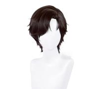 WCCNKK Anime Cosplay Wig, Charlie Cosplay Wig, Silver-Gray Short Hair with Middle Parting Anime Cosplay Wig, with Free Wig Cap, for Christmas Carnival Party Halloween, Anime Fan Gift