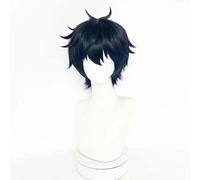 WCCNKK Anime Cosplay Wig, Honkai Star Rail Dan Heng Wig, Short Black Straight Hair, with Free Wig Cap, for Christmas Carnival Party Halloween Cosplay Wig, Gifts for Anime Fans