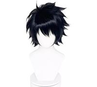 WCCNKK Anime Cosplay Wig L Lawliet Black Short Halloween Costume Cosplay Wig, for Christmas Carnival Party, Anime Exhibition, Decorative Accessories, with Wig Cap