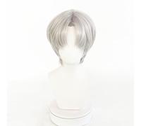 WCCNKK Anime Cosplay Wig, Light And Night Charlie Wig, Silver-Gray Short Hair with Middle Part, with Free Wig Cap, for Christmas Carnival Party Halloween Cosplay Wig, Holiday Gifts for Anime Fans