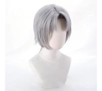 WCCNKK Anime Wig for Devil May Cry 5 Dante Cosplay Wig, Gray Short Hair, Synthetic Hair, Halloween Wig,for Party, Anime Show, Cosplay Event, Daily Wig, with Wig Cap
