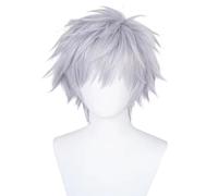 WCCNKK Nagisa Kaworu Cosplay Wig, Silver Purple Short Curly Hair + Wig Cap, Suitable for Halloween Party, Nightlife, Carnival, Anime Decoration, Accessories Gifts