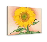 WCYB A Sunflower from Maggie by Georgia O'Keeffe Posters Prints Canvas Deco Paintings Wall Art Frame 12" L X 18" W