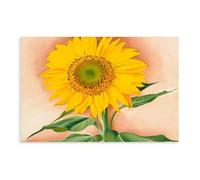 WCYB A Sunflower from Maggie by Georgia O'Keeffe Posters Prints Canvas Deco Paintings Wall Art Unframe 16" L X 24" W