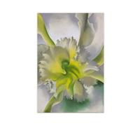 WCYB An Orchid by Georgia O'Keeffe Posters Prints Canvas Deco Paintings Wall Art Unframe 24" L X 36" W