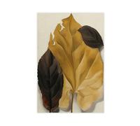 WCYB Brown And Tan Leaves by Georgia O'Keeffe Prints Posters Canvas Deco Paintings Wall Art For Office Living Room Unframe 20" L X 30" W