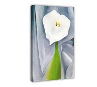 WCYB Horse’s Skull with Pink Rose Art by Georgia O'Keeffe Posters Prints Canvas Deco Paintings Wall Art Frame 20" L X 30" W