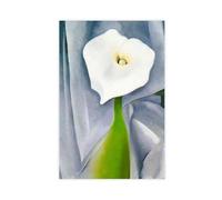 WCYB Horse’s Skull with Pink Rose Art by Georgia O'Keeffe Prints Posters Canvas Deco Paintings Wall Art For Office Living Room Unframe 24" L X 36" W