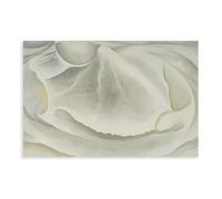 WCYB Inside Clam Shell by Georgia O'Keeffe Prints Posters Canvas Deco Paintings Wall Art For Office Living Room Unframe 24" L X 36" W