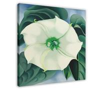 WCYB Jimson Weed by Georgia O'Keeffe Prints Posters Canvas Deco Paintings Wall Art For Office Living Room Frame 12" L X 12" W