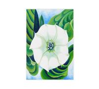 WCYB Jimson Weed by Georgia O'Keeffe Prints Posters Canvas Deco Paintings Wall Art For Office Unframe 12" L X 18" W