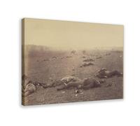WCYB July 1863 - Battlefield at Gettysburg Posters Prints Canvas Deco Paintings Wall Art Frame 24" L X 36" W