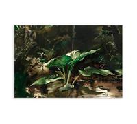 WCYB Skunk Cabbage by Andrew Wyeth Prints Posters Canvas Deco Paintings Wall Art For Office Unframe 16" L X 24" W