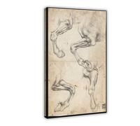 WCYB Studies of Horse's Leg by Leonardo Da Vinci Prints Posters Canvas Deco Paintings Wall Art For Office Living Room Frame 24" L X 36" W