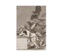 WCYB The Sleep of Reason Produces Monsters by Francisco Goya Posters Prints Canvas Deco Paintings Wall Art Unframe 16" L X 24" W