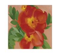 WCYB Two Austrian Copper Roses III by Georgia O'Keeffe Posters Prints Canvas Deco Paintings Wall Art Unframe 12" L X 12" W