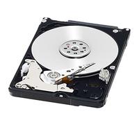 WD 320 GB SATA III 7200 RPM 16 MB Cache Bulk/OEM Laptop Hard Drive - Black