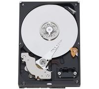 WD 500 GB 7200 RPM 3.5-inch Desktop Hard Drive Including WD Express Warranty (Frustration Free Packaging) - Blue