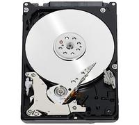 WD Black - 500GB Portable SATA Hard Drive - OEM
