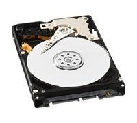 WD Blue WD3200BPVT - hard drive - 320 GB - SATA 3Gb/s
