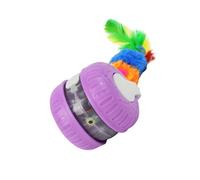 Wdbild Automatic Toy Cats Interactive Fun Teasing Ball Fun Exercise For Indoor Felines Play Chaser Electric Cats Auto Rotating Chaser