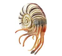 Wdbild Figurine Fish Realistic Sea Animal Toy Cake Toppers Kids Education Toy Aquarium Boutique Collections